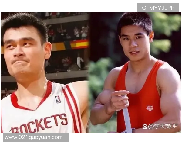 中国体育明星收入排行榜揭秘谁是最赚钱的运动员与他们的成功秘诀