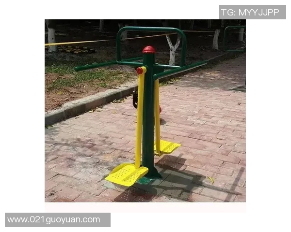 健身器材的种类繁多你知道有哪些常见类型和它们的功能吗