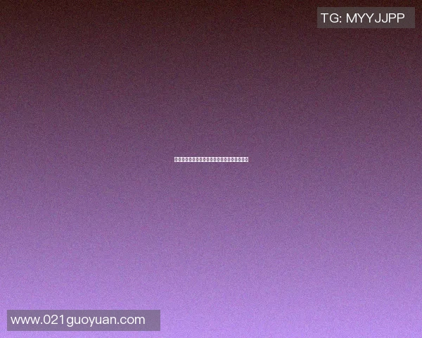 篮球明星的鞋牌背后故事与他们的成功之路探秘